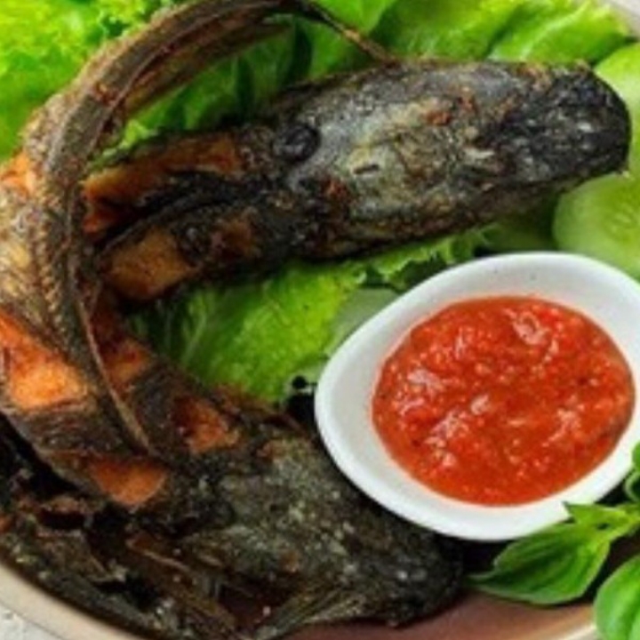 Pecel Lele Tanpa Nasi