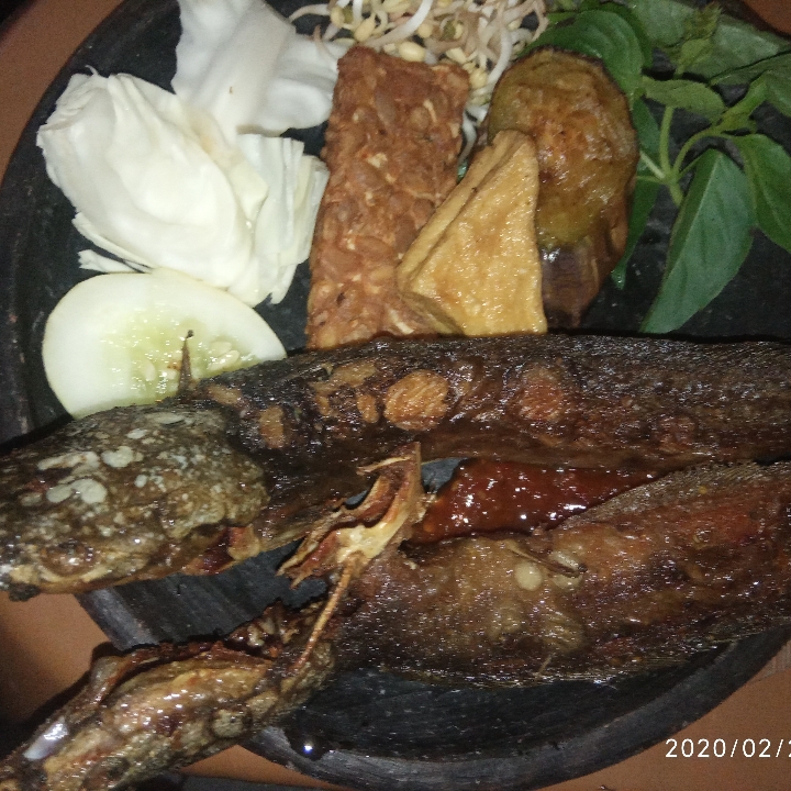 Pecel Lele Tempe Tahu Terong