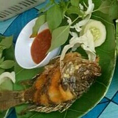 Pecel Nila