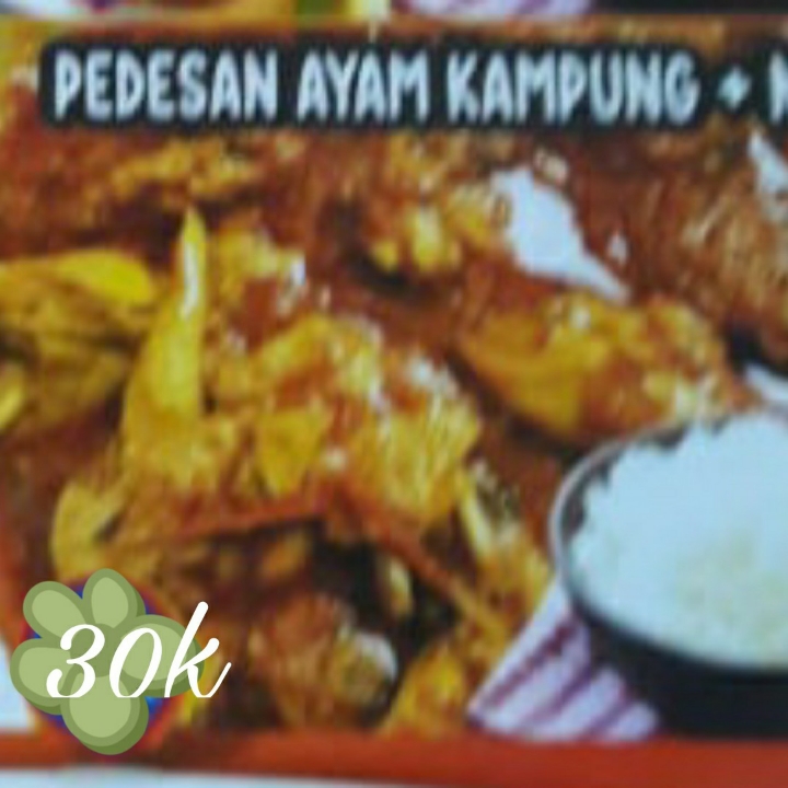 Pedesan Ayam Kampung Nasi