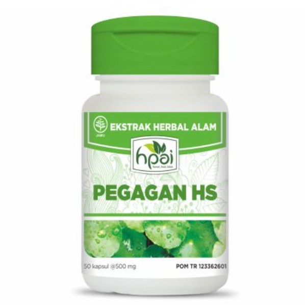 Pegagan HS