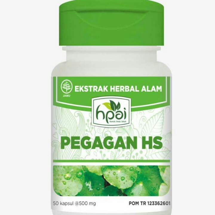 Pegagan HS