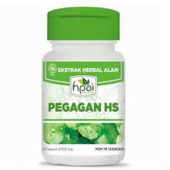 Pegagan HS