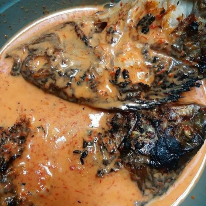 Pekhos Pati Ikan Nila 3