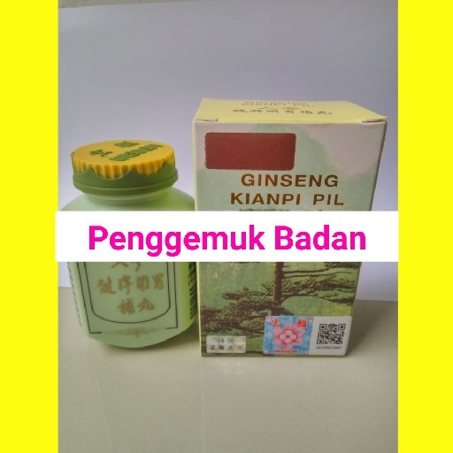 Penggemuk Badan