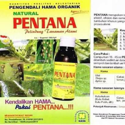 Pentana 100ml
