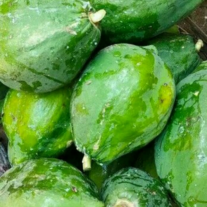 Pepaya Mentah Sayur