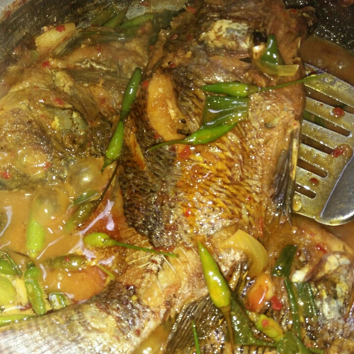Pesmol Nila Gerecep