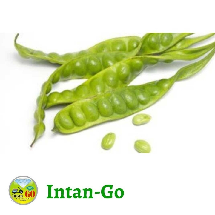 Petai