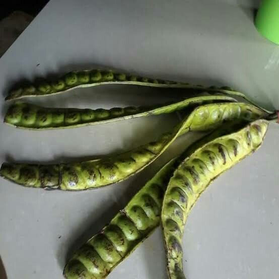Petai