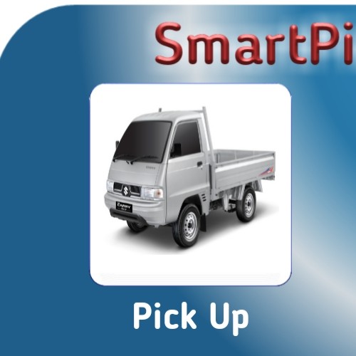 Pick Up - Mini Truck