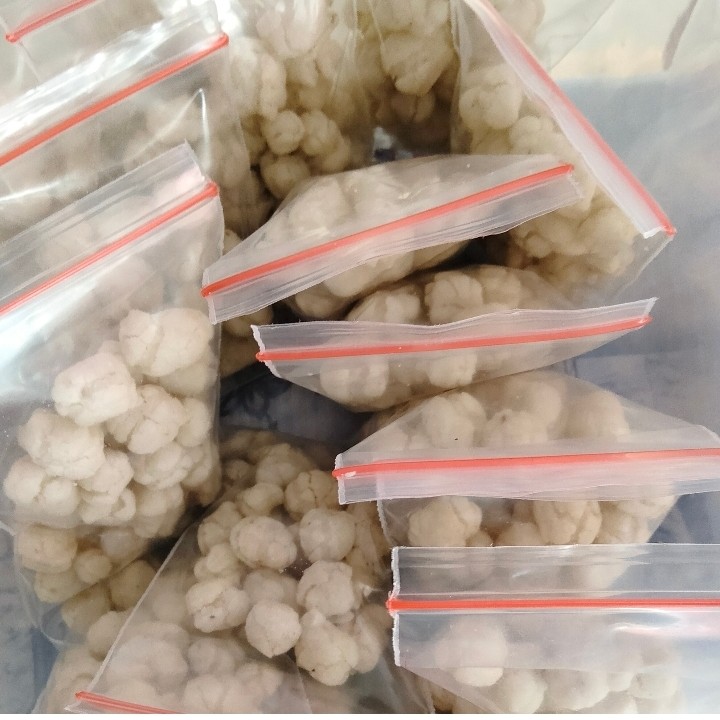 Pilus Cikur