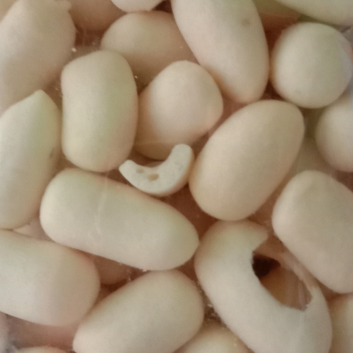 Pilus Kapsul