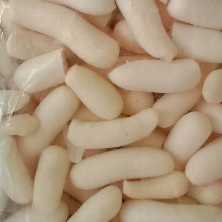 Pilus Telur Ikan