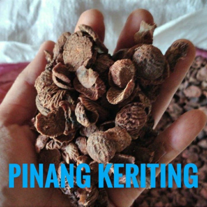 Pinang Keriting