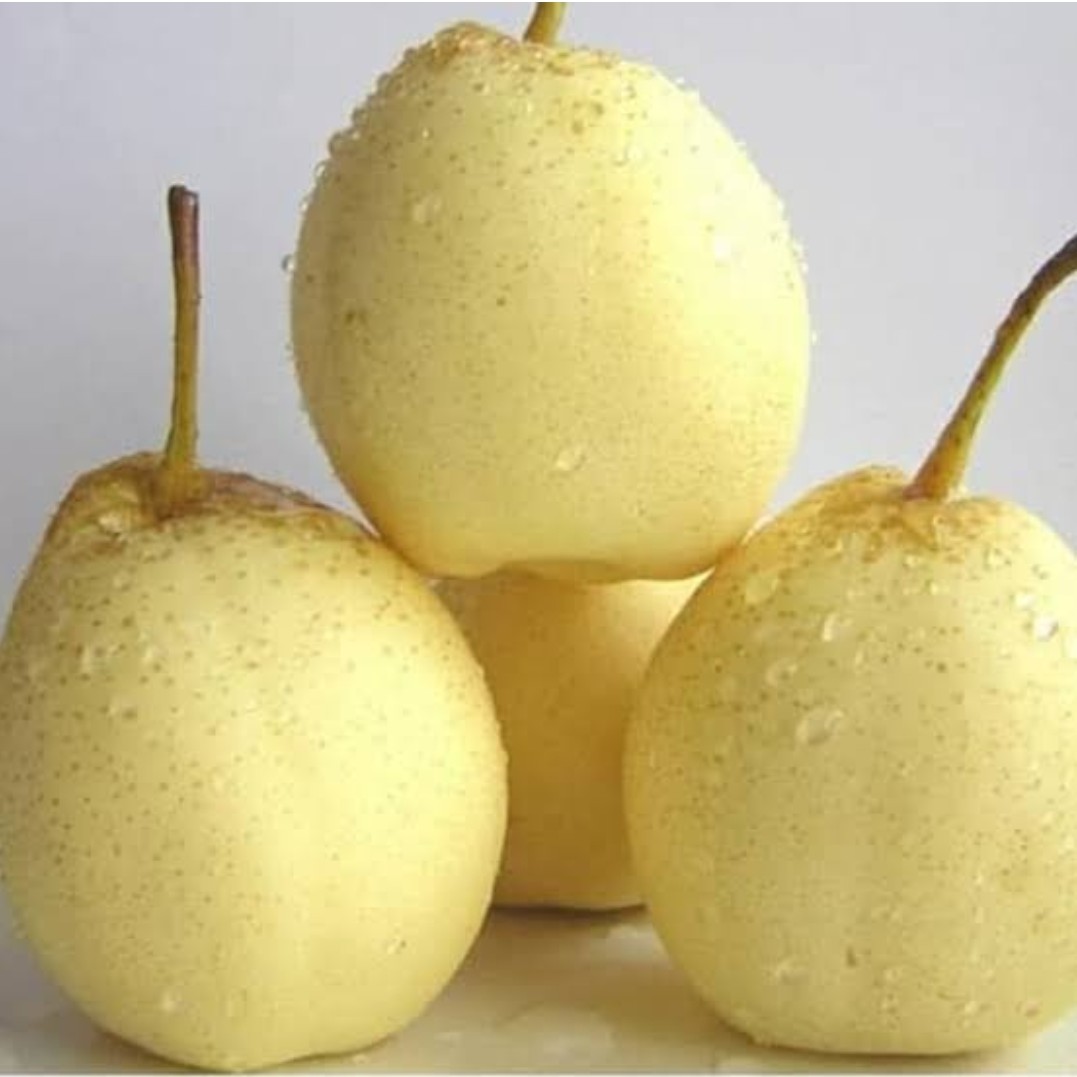 Pir 1 Kg