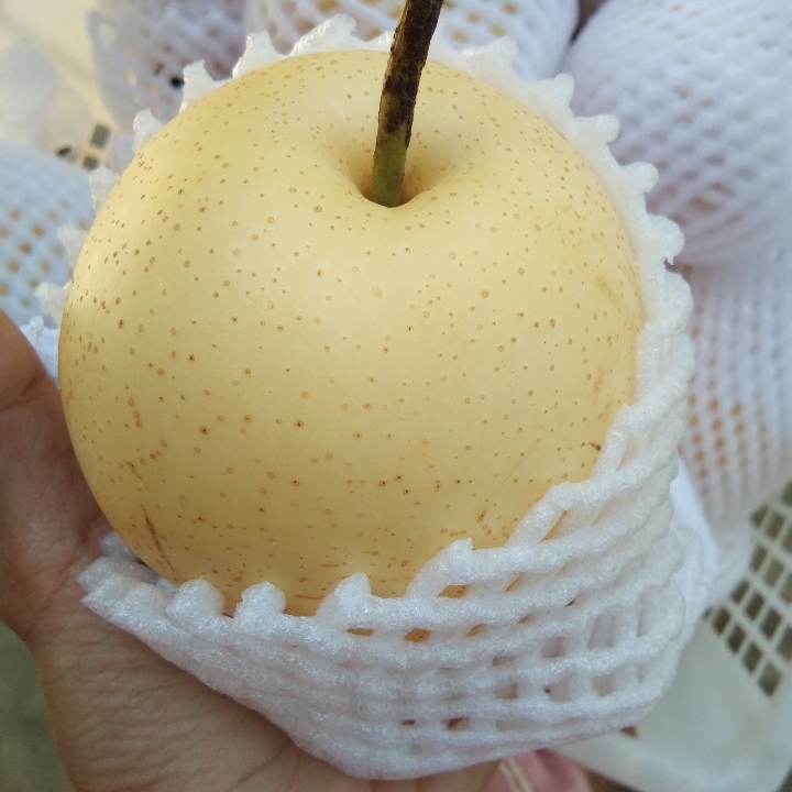 Pir Madu