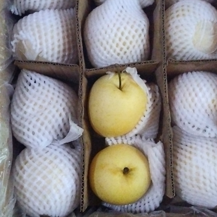 Pir Madu Per Kg