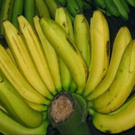 Pisang Ambon - 1Kg