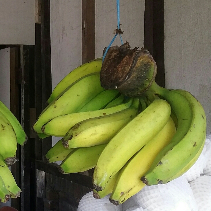 Pisang Ambon