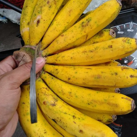Pisang Barangan