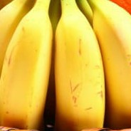 Pisang Cavendis