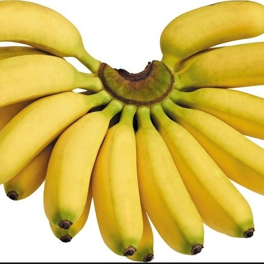 Pisang Emas