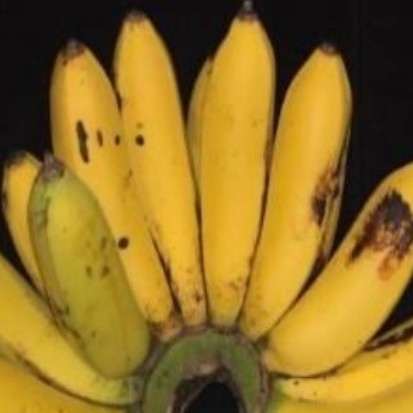 Pisang Ketan