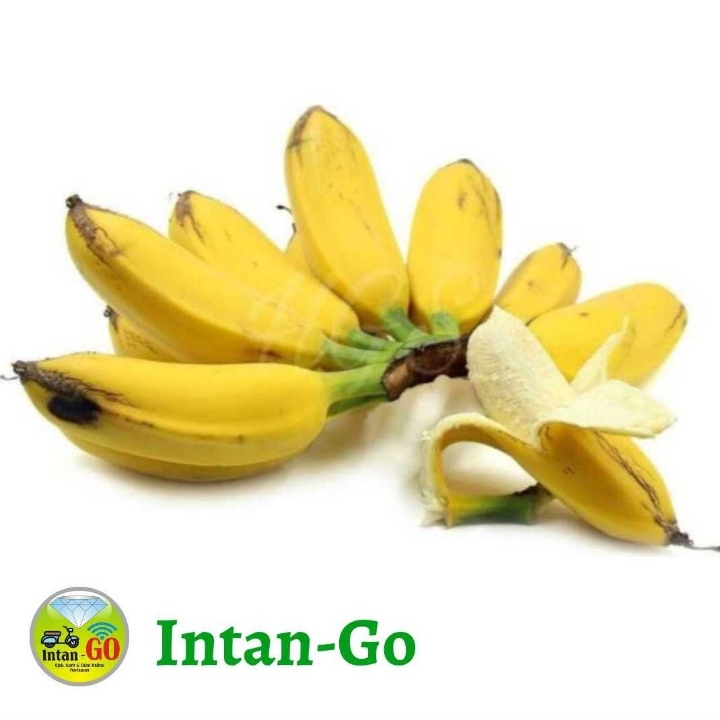 Pisang Manurun 