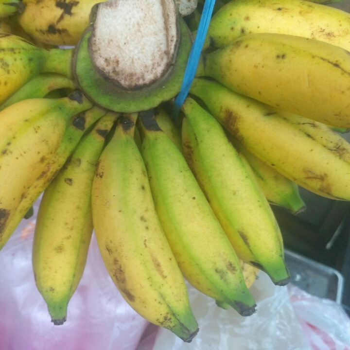 Pisang Muli