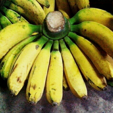 Pisang Raja