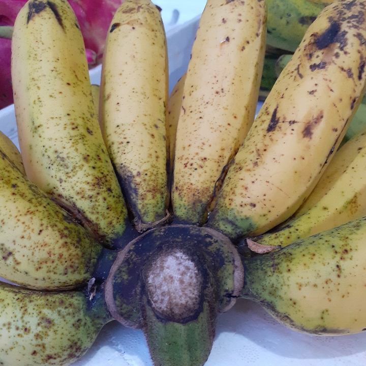Pisang Susu Masak Tandan