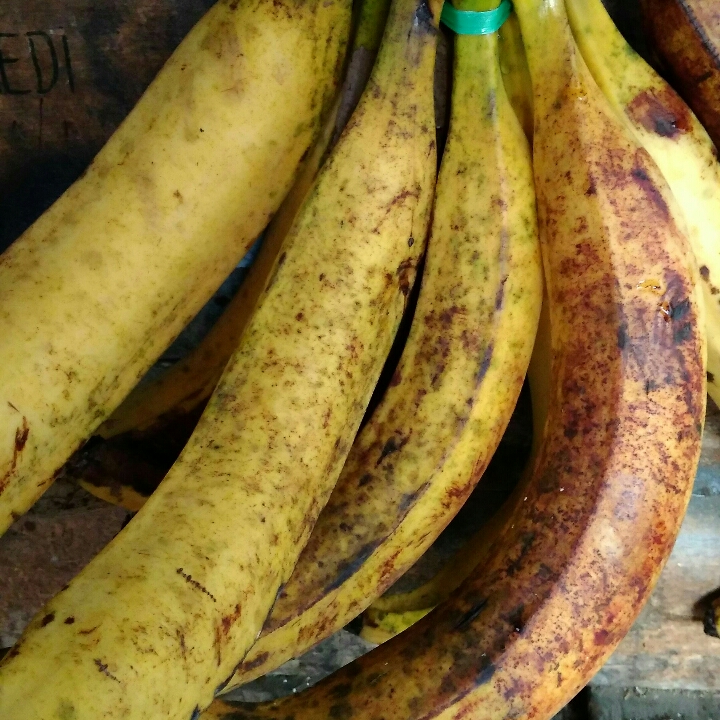 Pisang Tanduk