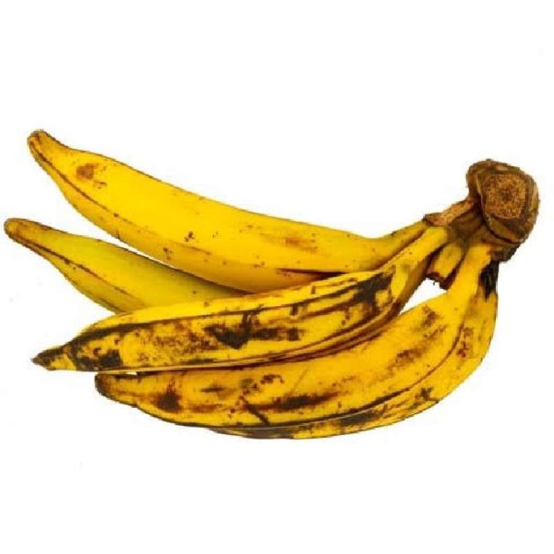 Pisang Tanduk