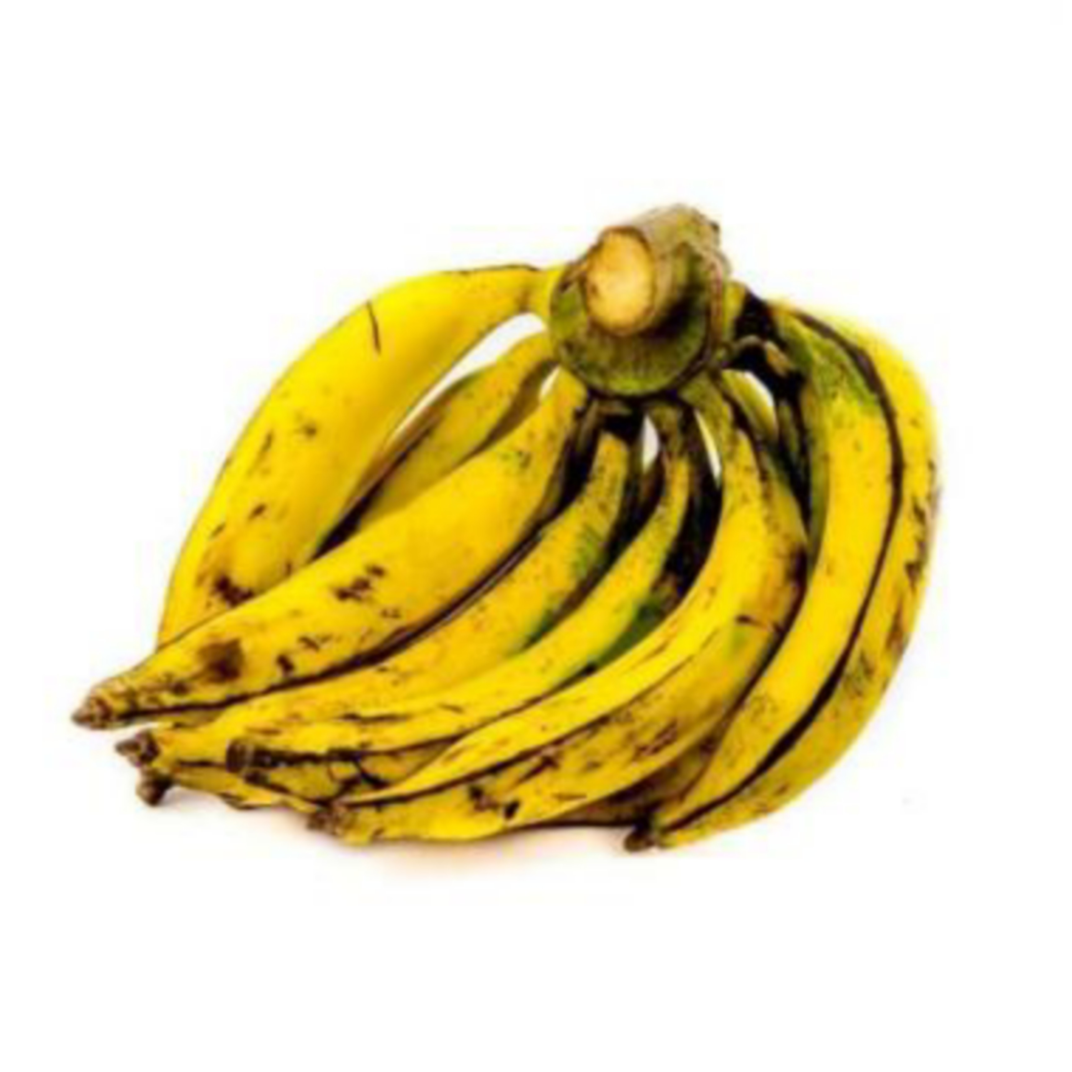 Pisang Tanduk