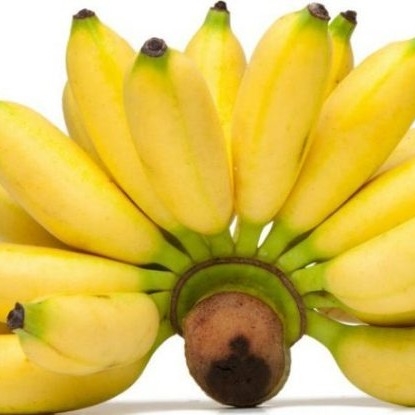 Pisang Ulin 3