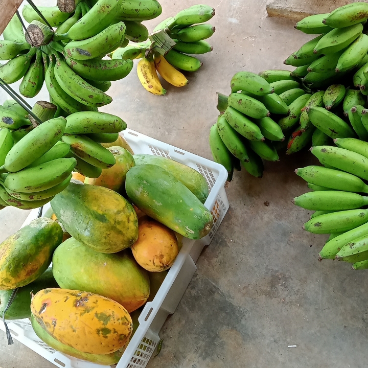 Pisang dan Pepaya