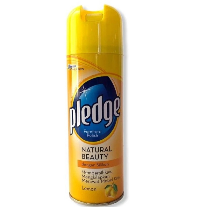 Pledge
