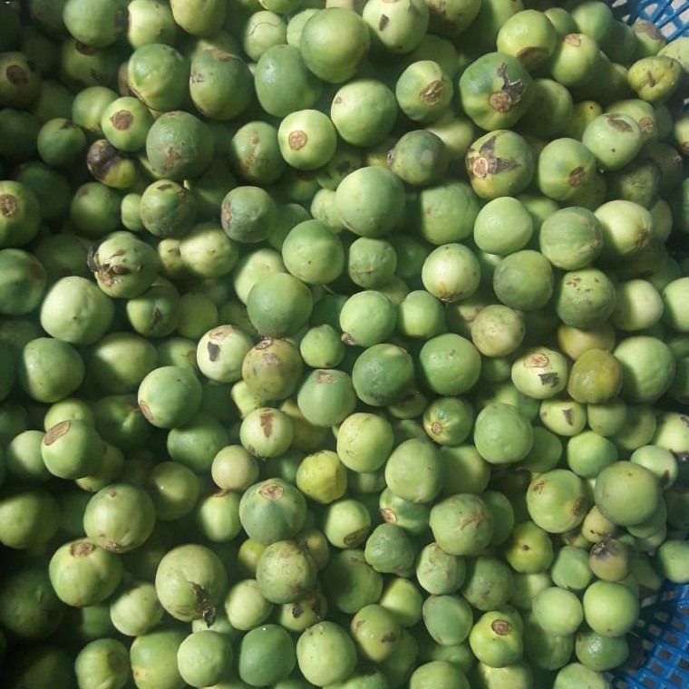 Pokak
