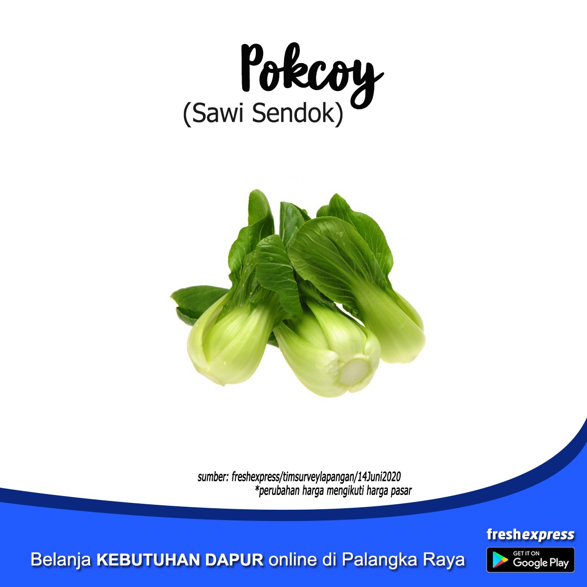 Pokcoy 1 Ikat