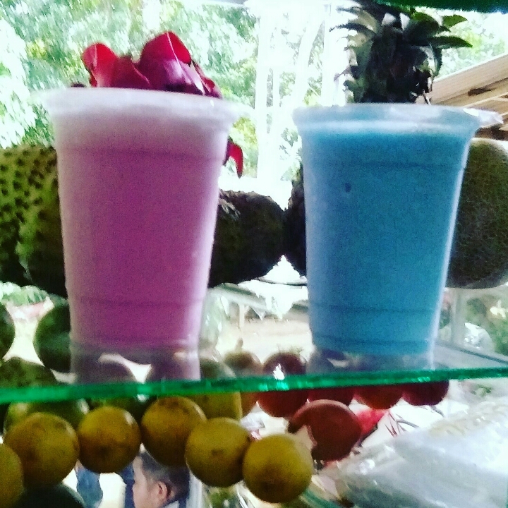Pop Ice Blend 2