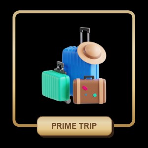 Prime Trip