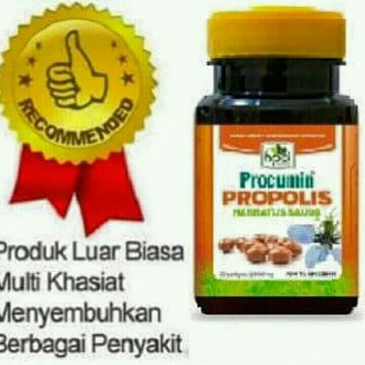 Procumin Propolis