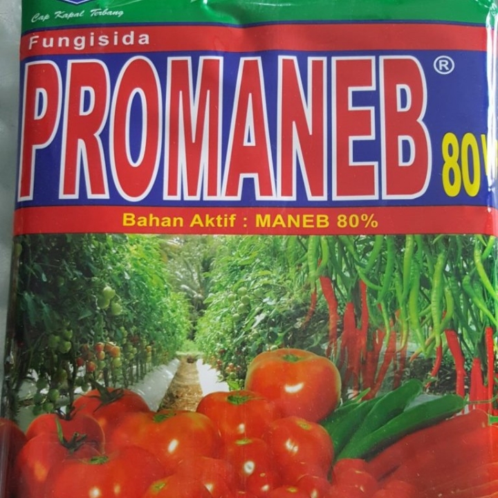 Promaneb 80 WP