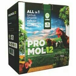 Promol12