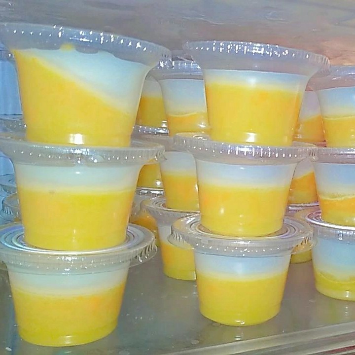 Pudding Mini  3