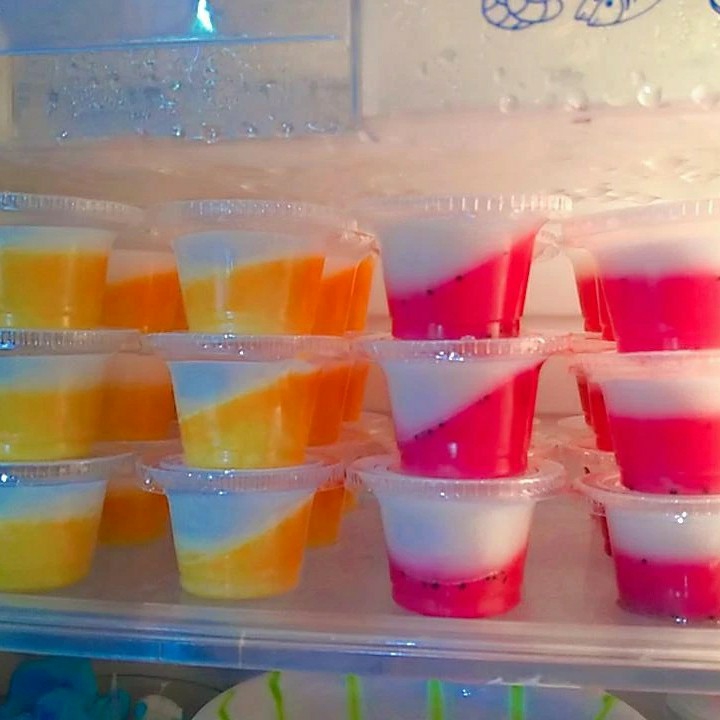 Pudding Mini  4