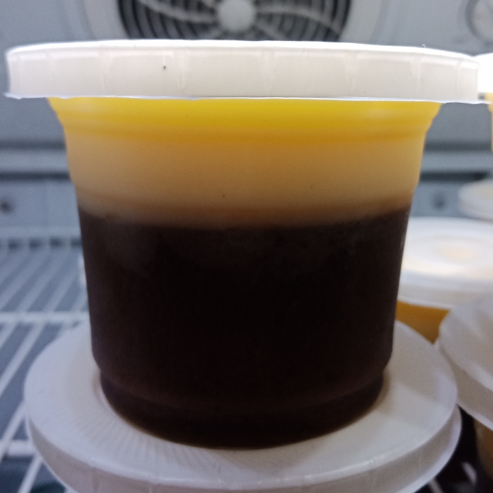 Puding Cokelat