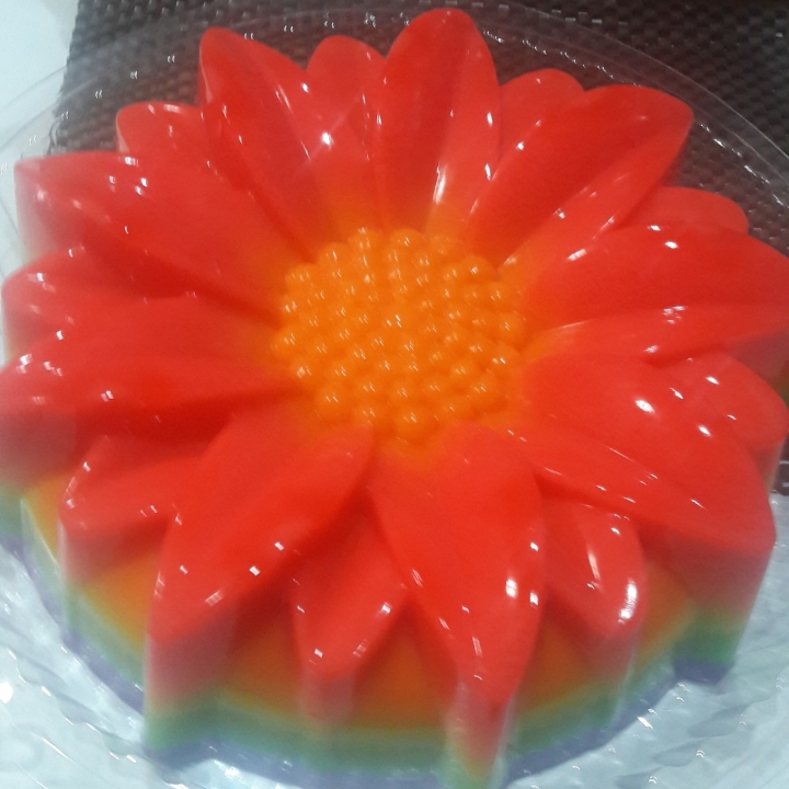 Puding Matahari