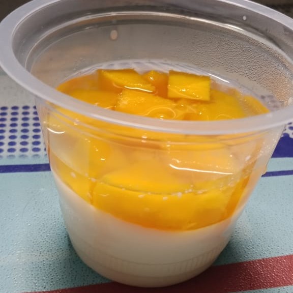 Puding Seger 2